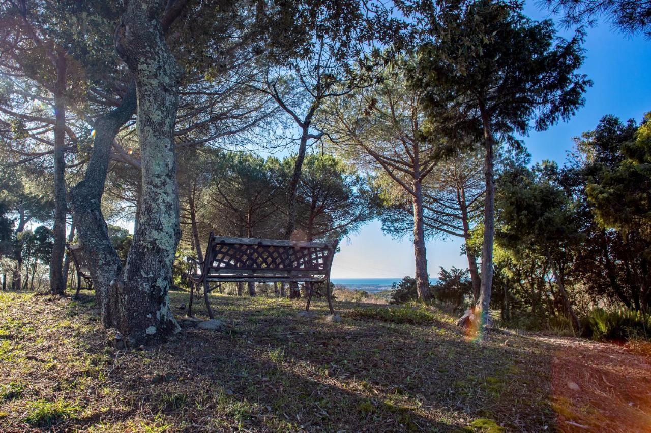 Glamping Debbiare Riparbella