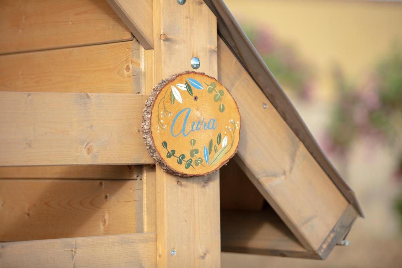 Glamping Debbiare Tente de luxe Riparbella